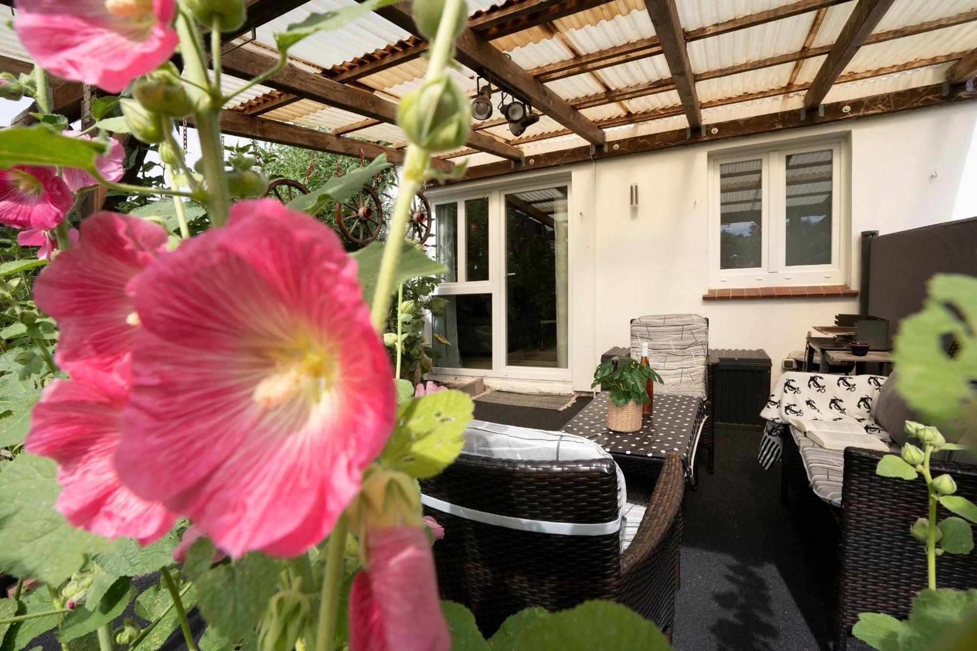 Haus Waldfrieden Ferienhaeuschen Waldfrieden Appartement Haffkrug Buitenkant foto